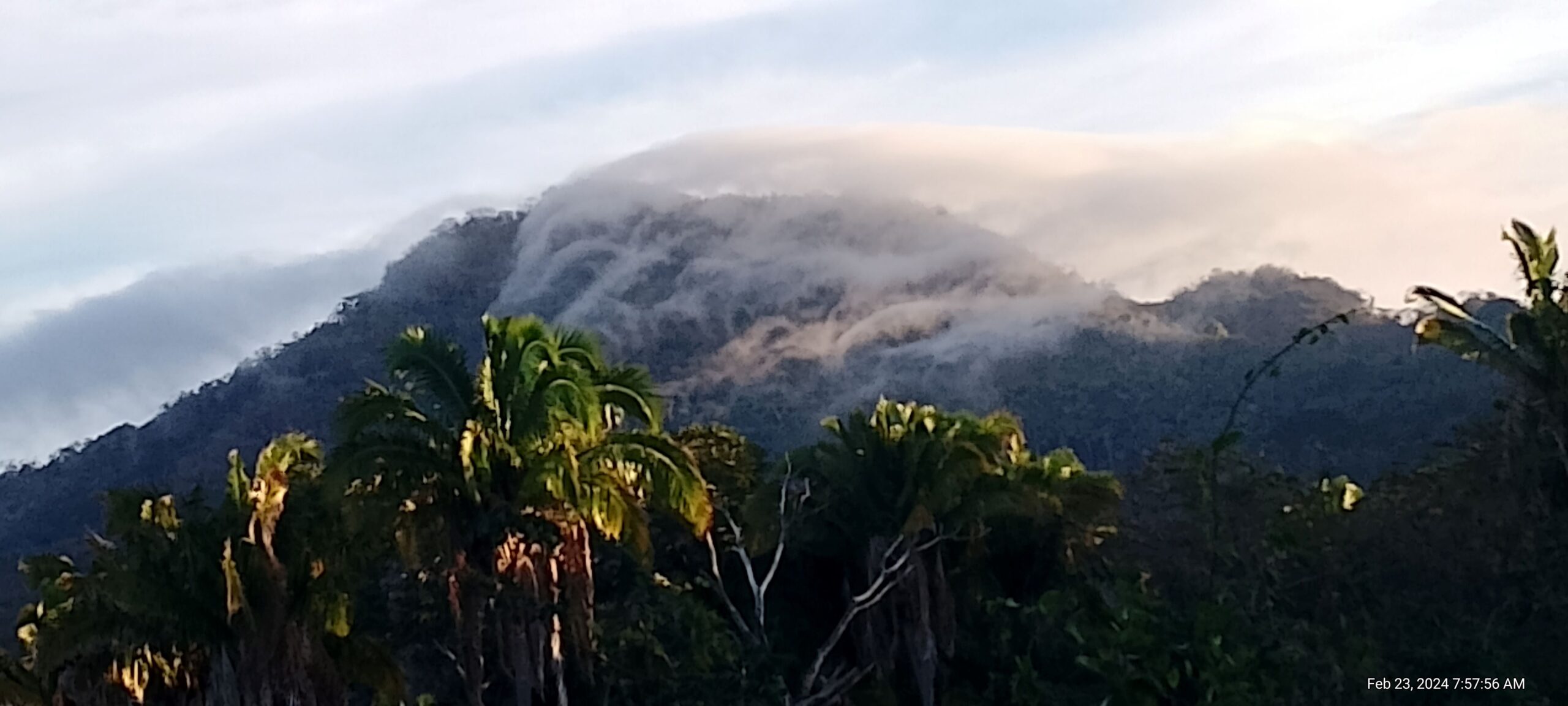 View of Monkey Mountain in morning fog.